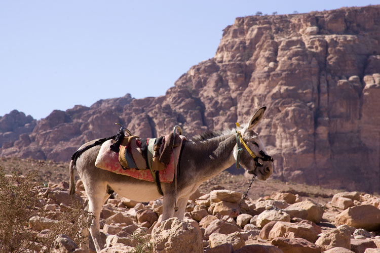 Petra_042